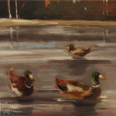 D015 - Kaczki wiosną - olej - 18 x 24 | Ducks in spring